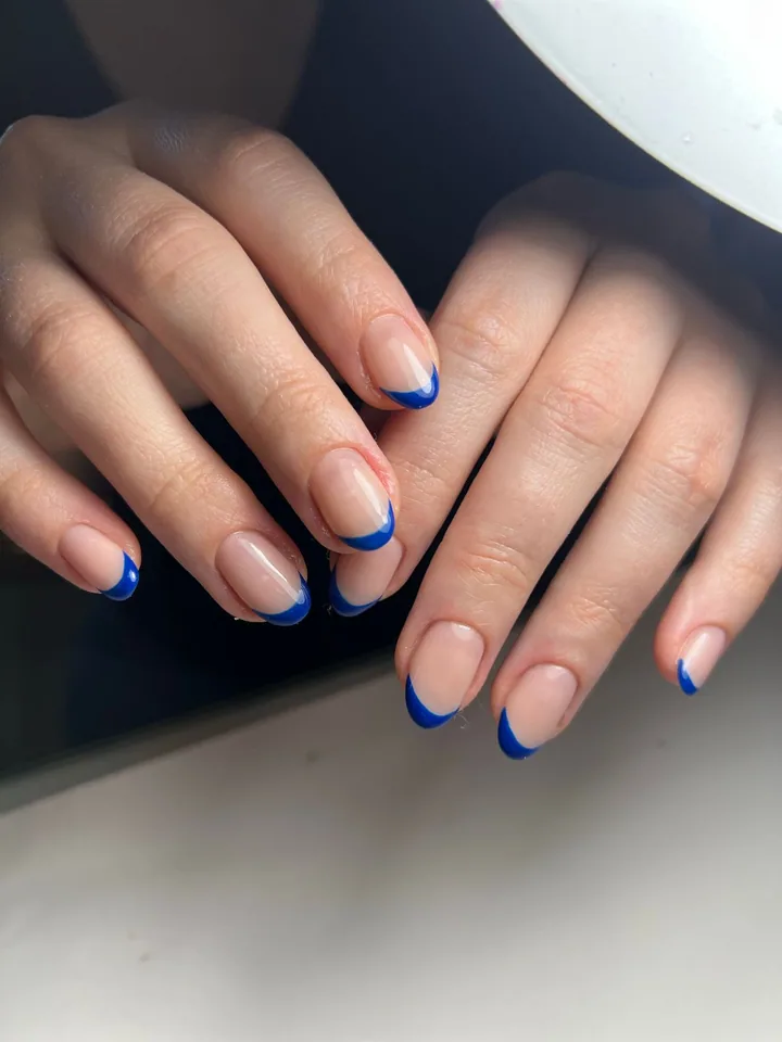 Mavi uçlu French — Pexels ilham görseli